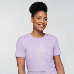 Cotopaxi Cotopaxi Original Thistle Topo Llama T-shirt Women 44P2172 Thistle