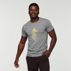 Cotopaxi Heather Grey Cotopaxi Topo Llama T-Shirt Men New 44P2296 Heather Grey