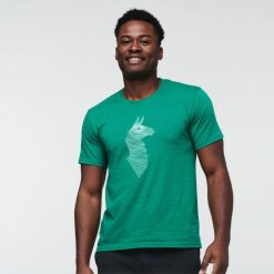 Cotopaxi Verde Fashion Cotopaxi Topo Llama T-Shirt Men 44P2297 Verde